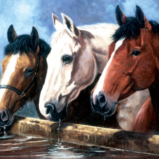 Kifestő készlet akrilfestékkel, ecsettel, gyerekeknek 11 éves kortól - 30x40 cm - Három ló az itatónál