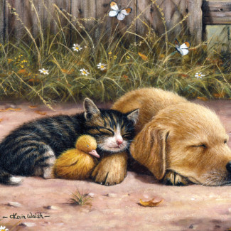 Kifestő készlet akrilfestékkel, ecsettel, gyerekeknek 11 éves kortól - 30x40 cm - Álmos nap