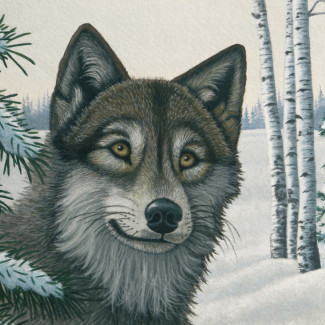 Kifestő készlet akrilfestékkel, ecsettel, gyerekeknek 11 éves kortól - 30x40 cm - Hófarkas