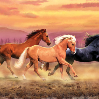 Kifestő készlet akrilfestékkel, ecsettel, gyerekeknek 11 éves kortól - 30x40 cm - Vadlovak