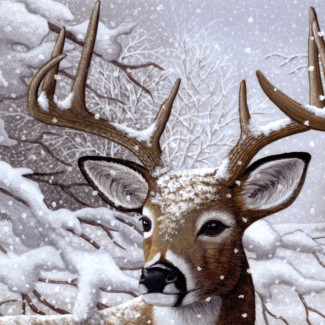 Kifestő készlet akrilfestékkel, ecsettel, gyerekeknek 11 éves kortól - 30x40 cm - Szarvas hóesésben