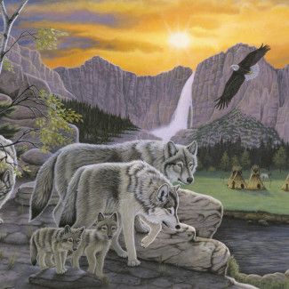 Kifestő készlet akrilfestékkel, ecsettel, gyerekeknek 11 éves kortól - 30x40 cm - Farkasok