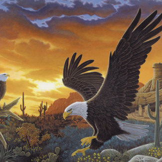 Kifestő készlet akrilfestékkel, ecsettel, gyerekeknek 11 éves kortól - 30x40 cm - Számos kifestő készlet, Szirti sas