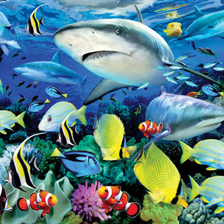 Kifestő készlet akrilfestékkel, ecsettel, gyerekeknek - 30x40 cm - Számos kifestő készlet - Cápák a korallzátonynál