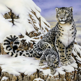 Kifestő készlet akrilfestékkel, ecsettel, gyerekeknek - 30x40 cm - Számos kifestő készlet - Hópárduc a kölykével