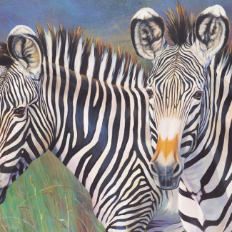 Számozott kifestő készlet akrilfestékkel, ecsettel, gyerekeknek - 30x40 cm - Számos kifestő készlet - Zebra pár