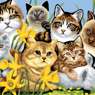 Kifestő készlet akrilfestékkel, ecsettel, gyerekeknek 11 éves kortól - 30x40 cm - Csupa cica