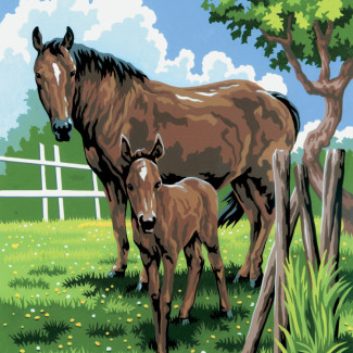 Kifestő készlet számokkal, ecsettel, gyerekeknek 8 éves kortól - 20x25 cm - Lovak (Kanca a csikóval)