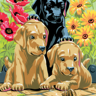 Kifestő készlet akrilfestékkel, ecsettel, gyerekeknek 8 éves kortól - 20x25 cm - Labrador kölykök