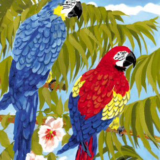 Kifestő készlet akrilfestékkel, ecsettel, gyerekeknek 8 éves kortól - 20x25 cm - Papagájok