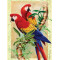 Kifestő készlet számokkal, ecsettel, gyerekeknek 8 éves kortól - 20x25 cm - Nagy papagájok