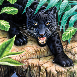 Kifestő készlet akrilfestékkel, ecsettel, gyerekeknek 8 éves kortól - 20x25 cm - Fekete leopard