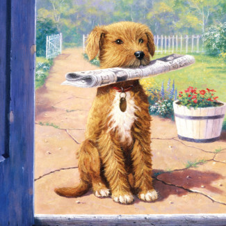 Kifestő készlet akrilfestékkel, ecsettel, gyerekeknek 8 éves kortól - 20x25 cm - Kutyus újsággal