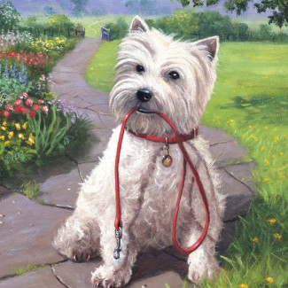 Kifestő készlet számokkal, ecsettel, gyerekeknek 8 éves kortól - 20x25 cm - Sétaidő