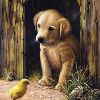 Kifestő készlet számokkal, ecsettel, gyerekeknek 8 éves kortól - 20x25 cm - Kiskutya (Labrador kölyök)