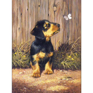 Kifestő készlet számokkal, ecsettel, gyerekeknek 8 éves kortól - 20x25 cm - Tacskó kölyök Kifestő készlet számokkal, ecsettel, gyerekeknek 8 éves kortól - 20x25 cm - Tacskó kölyök