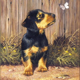 Kifestő készlet számokkal, ecsettel, gyerekeknek 8 éves kortól - 20x25 cm - Tacskó kölyök