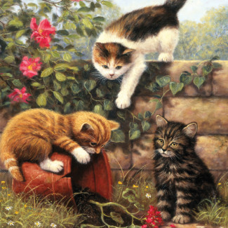 Kifestő készlet számokkal, ecsettel, gyerekeknek 8 éves kortól - 20x25 cm - Cicák játszanak