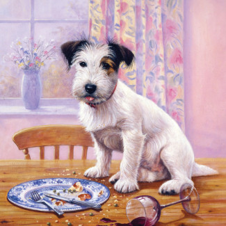 Kifestő készlet számokkal, ecsettel, gyerekeknek 8 éves kortól - 20x25 cm - Éhes kutya