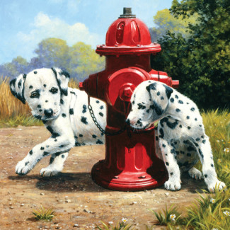 Kifestő készlet akrilfestékkel, ecsettel, gyerekeknek 8 éves kortól - 20x25 cm - Dalmata kölykök