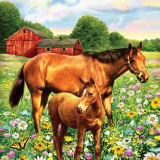 Kifestő készlet akrilfestékkel, ecsettel, gyerekeknek 8 éves kortól - 20x25 cm - Lovak a réten