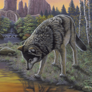 Kifestő készlet akrilfestékkel, ecsettel, gyerekeknek 8 éves kortól - 20x25 cm - Szürke farkas