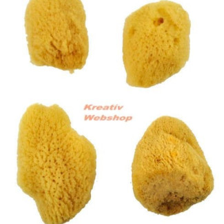 Festőszivacs - Selyem szivacskészlet, közepes méret, 4 db-os természetes tegeri szivacs készlet