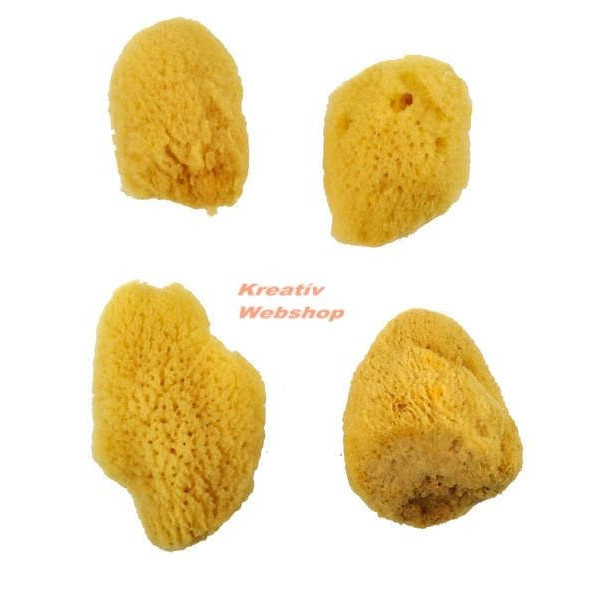 Festőszivacs - Selyem szivacskészlet, közepes méret, 4 db-os természetes tegeri szivacs készlet