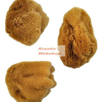 Festőszivacs - Selyem szivacskészlet, 3 db-os természetes tengeri szivacs készlet
