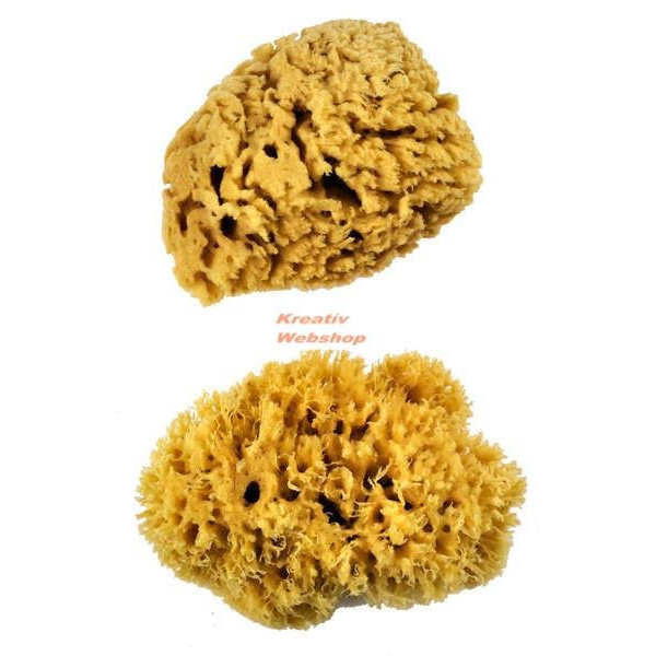 Festőszivacs - Nagy tengeri szivacskészlet, 2 db-os természetes XL szivacs készlet