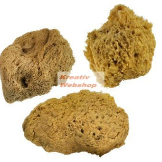 Festőszivacs - Tengeri szivacskészlet, 3 db-os természetes tengeri szivacs