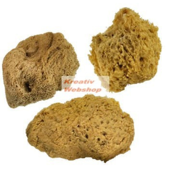 Festőszivacs - Tengeri szivacskészlet, 3 db-os természetes tengeri szivacs