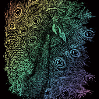 Képkarcoló készlet karctűvel - 20x25 cm - Szivárványos - Páva