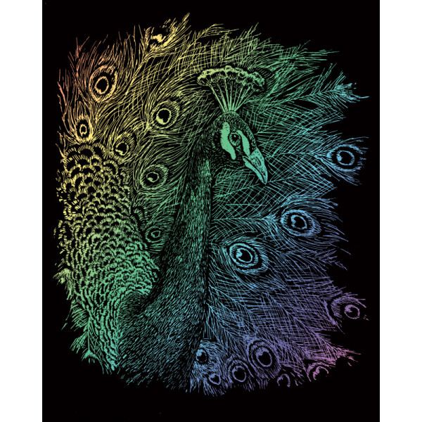 Képkarcoló készlet karctűvel - 20x25 cm - Szivárványos - Páva