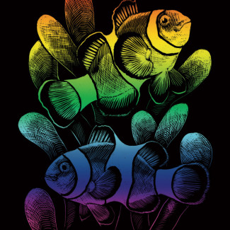 Képkarcoló készlet karctűvel - 20x25 cm - Szivárványos - Bohóchal