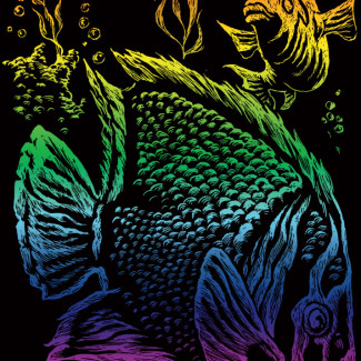 Képkarcoló készlet karctűvel - 13x18 cm - Szivárványos - Trópusi hal