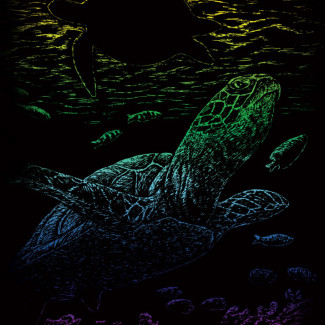 Képkarcoló készlet karctűvel - 13x18 cm - Szivárványos - Teknős