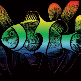 Képkarcoló készlet karctűvel - 13x18 cm - Szivárványos - Bohóchal