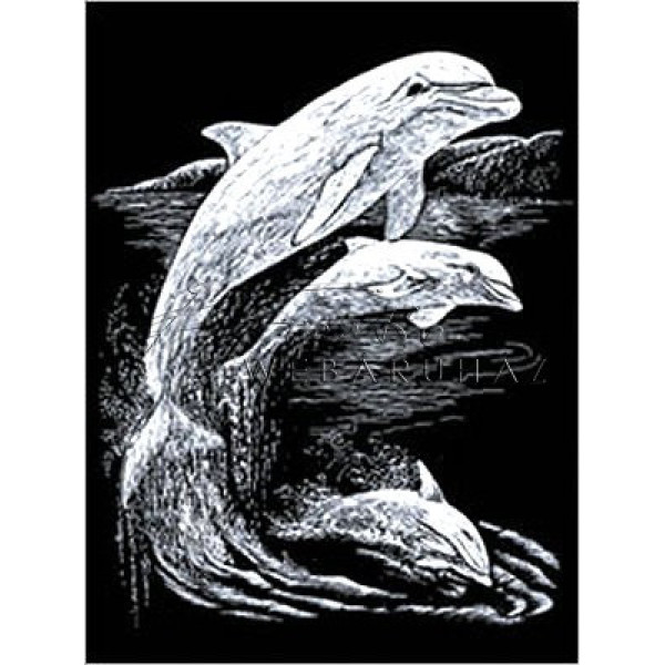 Képkarcoló készlet karctűvel - 20x25 cm - Ezüst - Delfinek