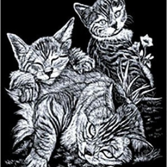 Képkarcoló készlet karctűvel - 20x25 cm - Ezüst - Cirmos