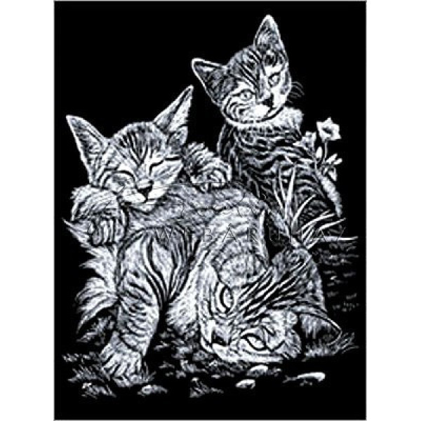 Képkarcoló készlet karctűvel - 20x25 cm - Ezüst - Cirmos