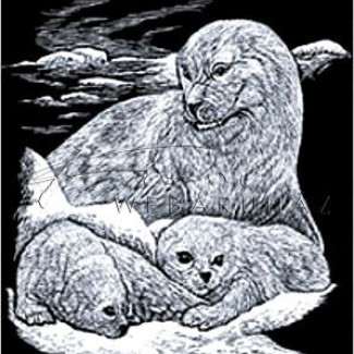 Képkarcoló készlet karctűvel - 20x25 cm - Ezüst - Fóka