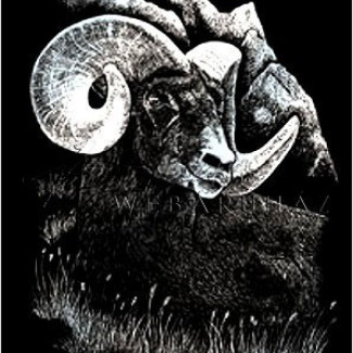 Képkarcoló készlet karctűvel - 20x25 cm - Ezüst - Kos