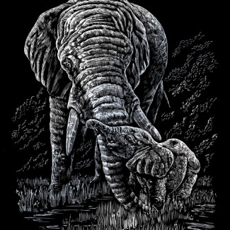 Képkarcoló készlet karctűvel - 20x25 cm - Ezüst - Elefánt