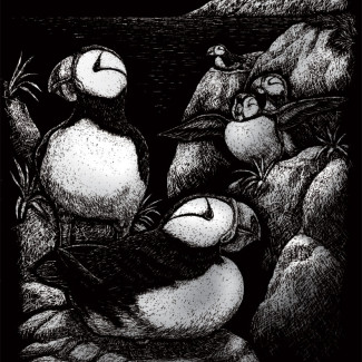 Képkarcoló készlet karctűvel - 20x25 cm - Ezüst - Sarki madár