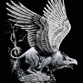 Képkarcoló készlet karctűvel - 20x25 cm - Ezüst - Griff