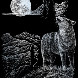 Képkarcoló készlet karctűvel - 20x25 cm - Ezüst - Farkas teliholdnál