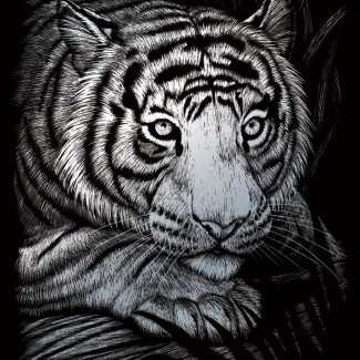 Képkarcoló készlet karctűvel - 20x25 cm - Ezüst - Fehér tigris