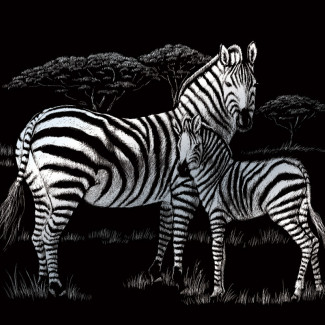 Képkarcoló készlet karctűvel - 20x25 cm - Ezüst - Zebra Képkarcoló készlet karctűvel - 20x25 cm - Ezüst - Zebra