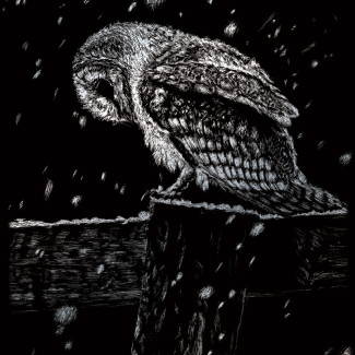 Képkarcoló készlet karctűvel - 20x25 cm - Ezüst - Bagoly hóesésben